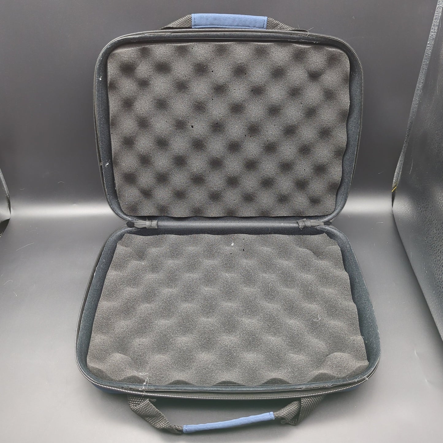 Handheld Padded Case 12" x 9"-Avernic Smoke Shop