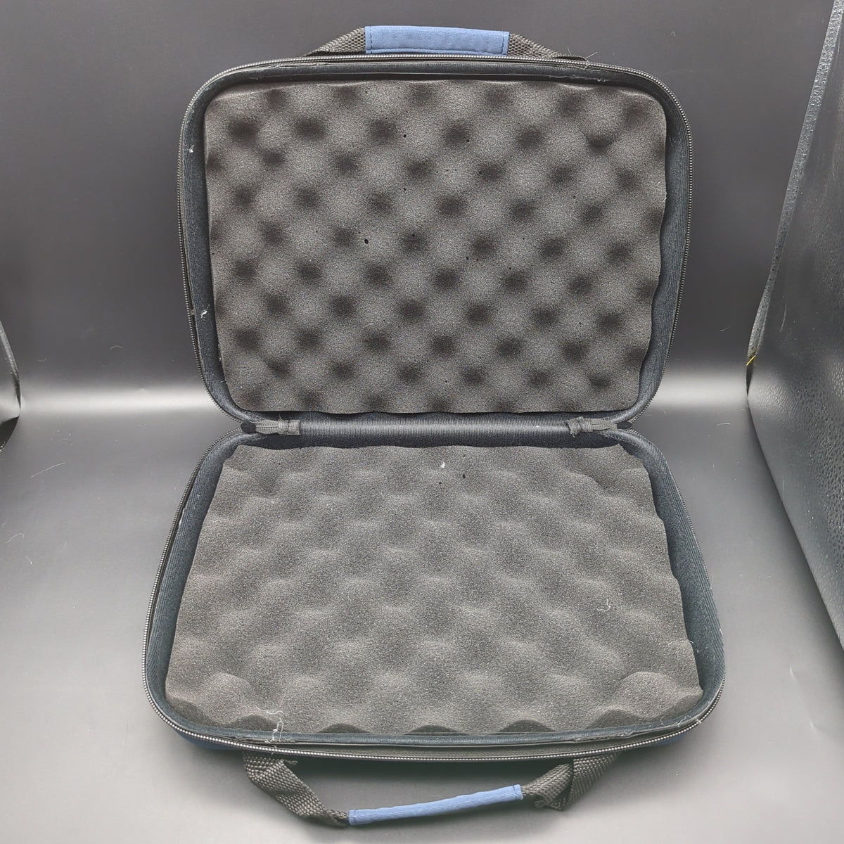 Handheld Padded Case 12" x 9"-Avernic Smoke Shop