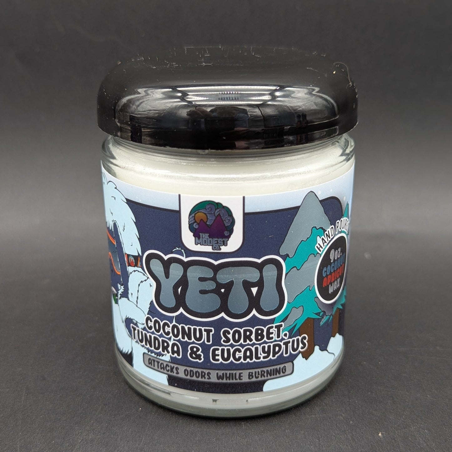 Modest&Co. - Odor Fighting Candle (9oz)