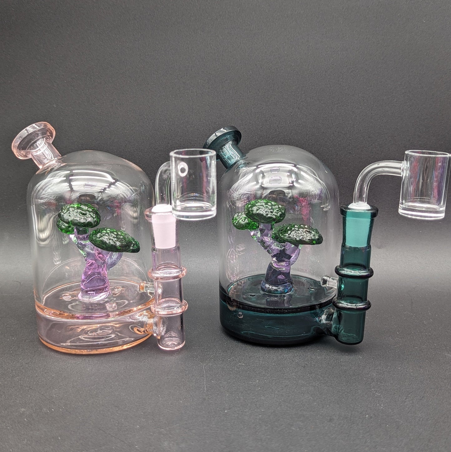 Bonsai Tree Blooper Dab Rig