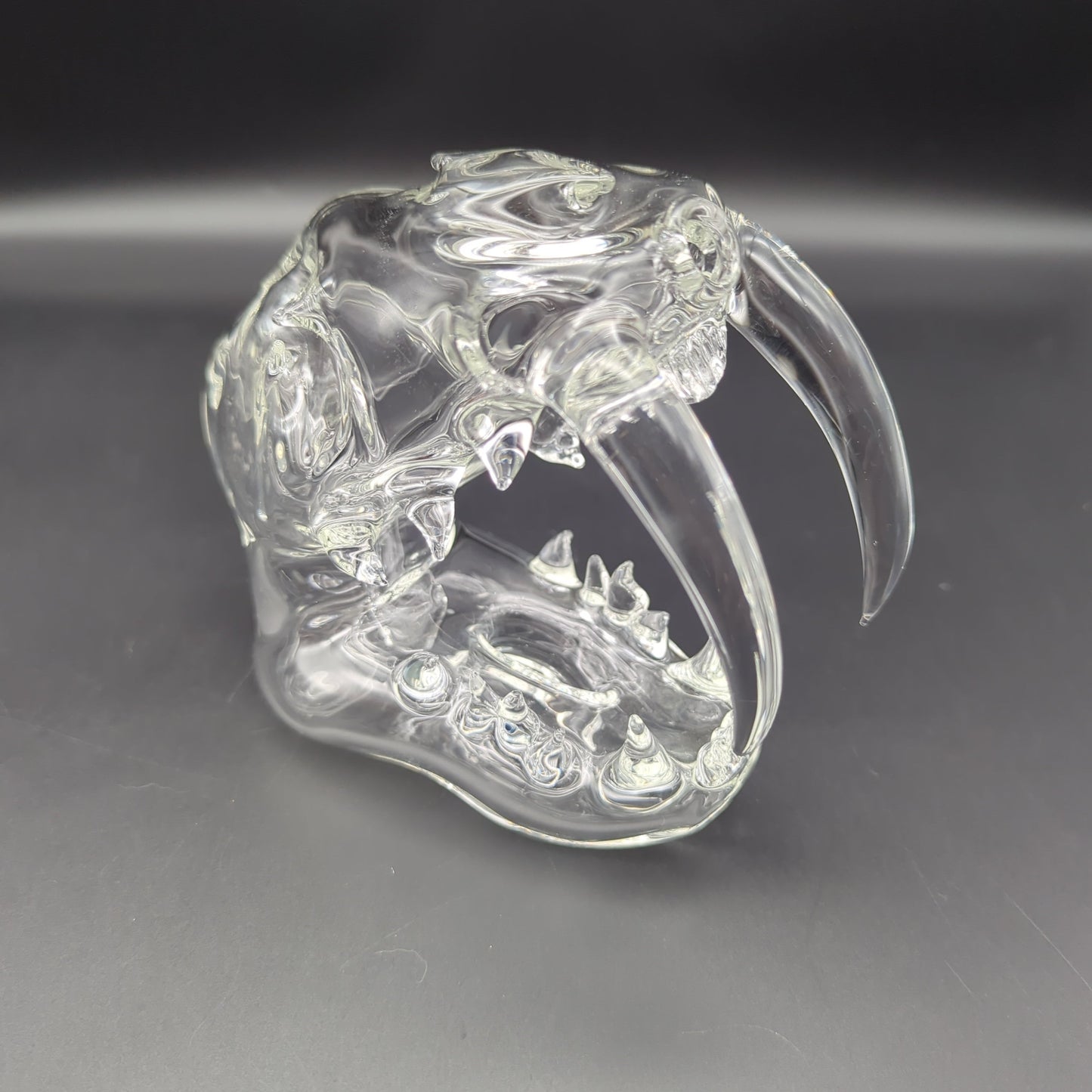 Clear Sabertooth Skull Sculpture Rig - by EKA Glass - Avernic Smoke Shop