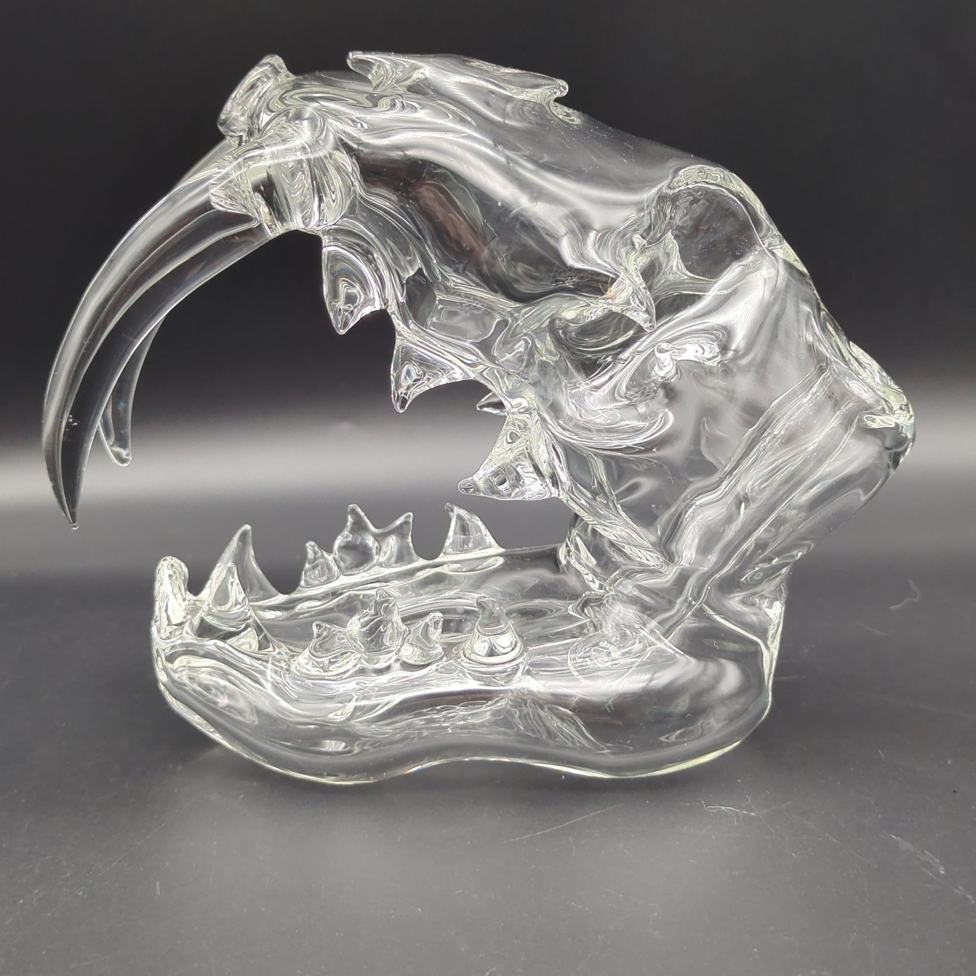 Clear Sabertooth Skull Sculpture Rig - by EKA Glass - Meech Madness Smoke Shop