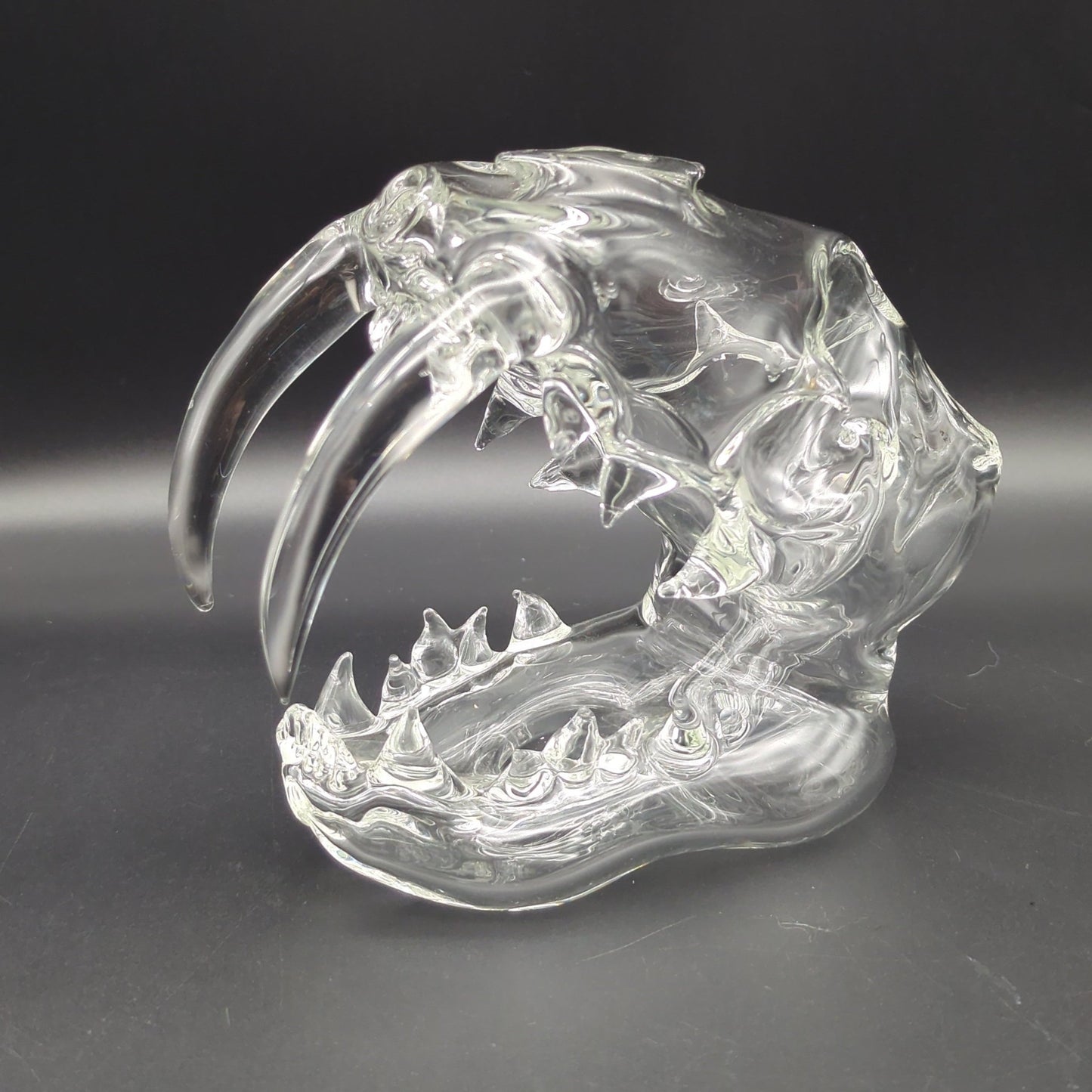 Clear Sabertooth Skull Sculpture Rig - by EKA Glass - Meech Madness Smoke Shop
