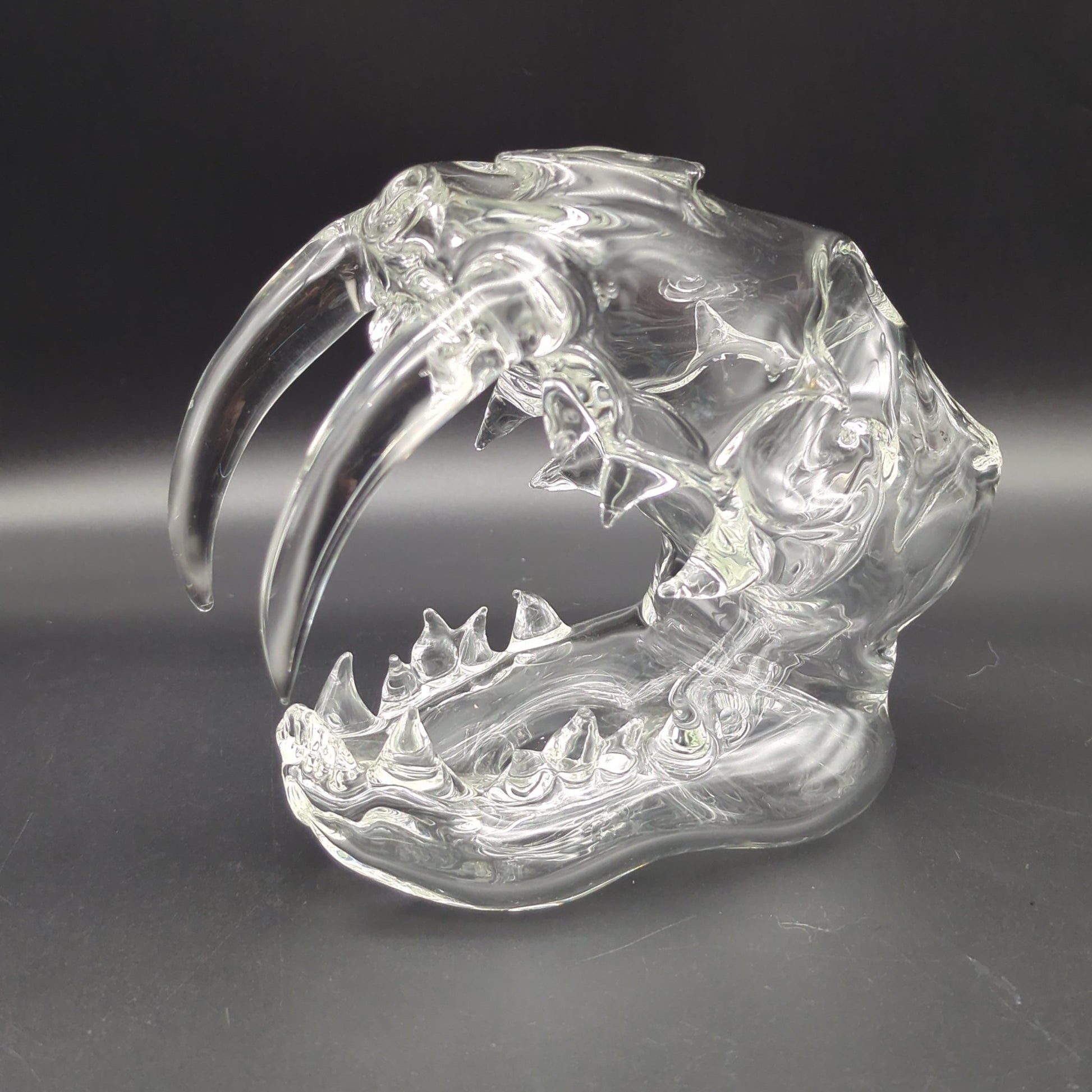 Clear Sabertooth Skull Sculpture Rig - by EKA Glass - Meech Madness Smoke Shop