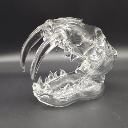 Clear Sabertooth Skull Sculpture Rig - by EKA Glass - Meech Madness Smoke Shop