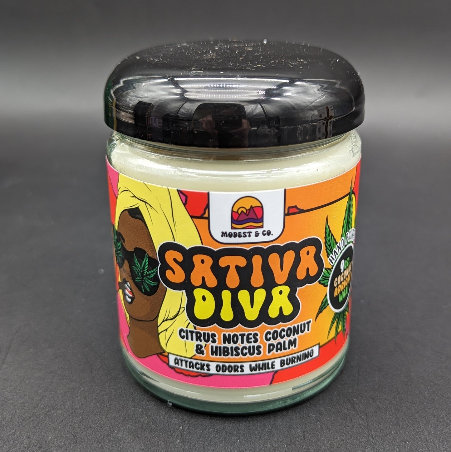 Modest&Co. - Odor Fighting Candle (9oz)-Avernic Smoke Shop