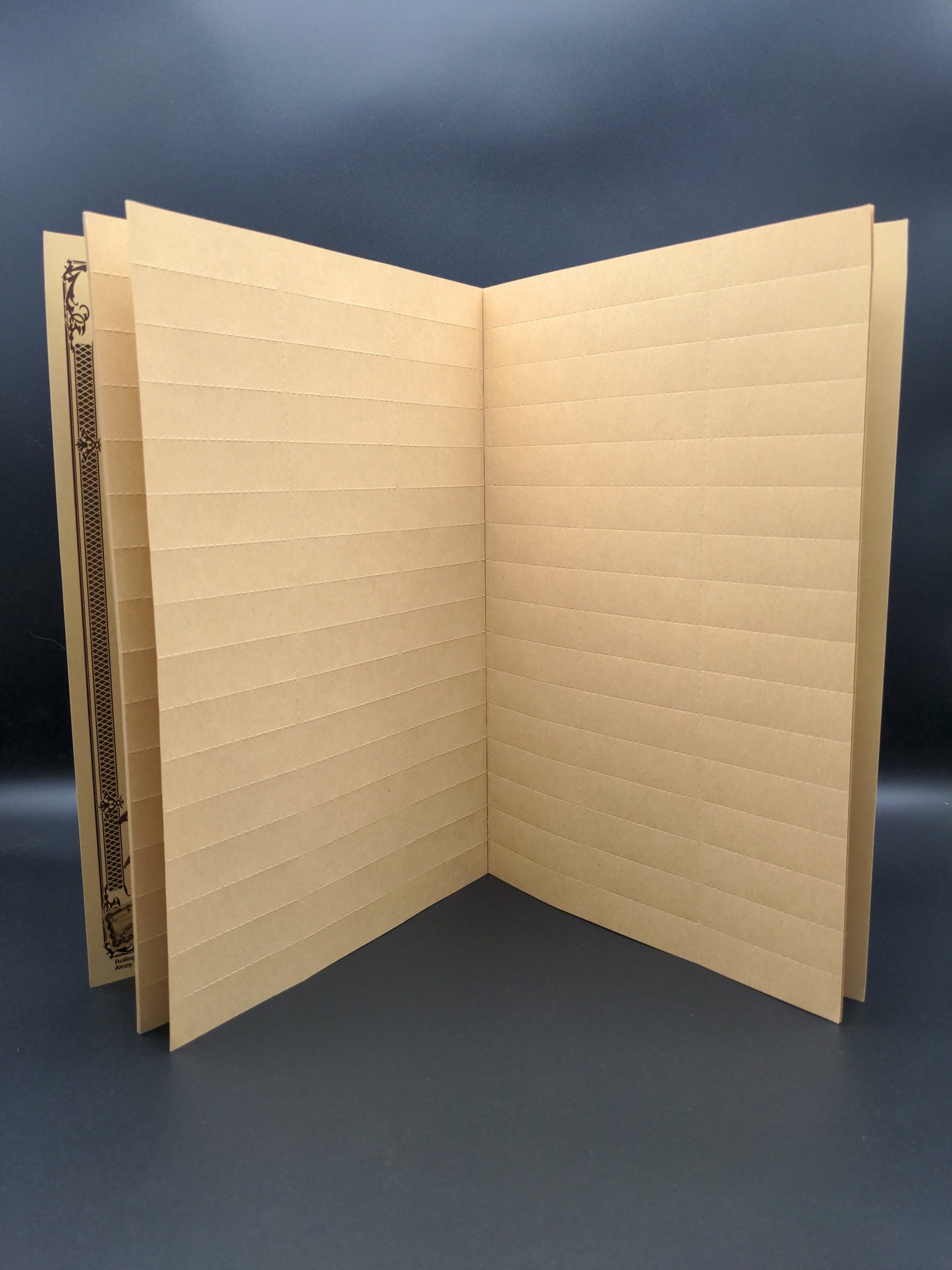 Raw RawlBook - Book of 480 Rolling Tips-Avernic Smoke Shop