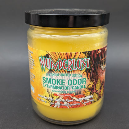 Smoke Odor Exterminator Candles 13oz